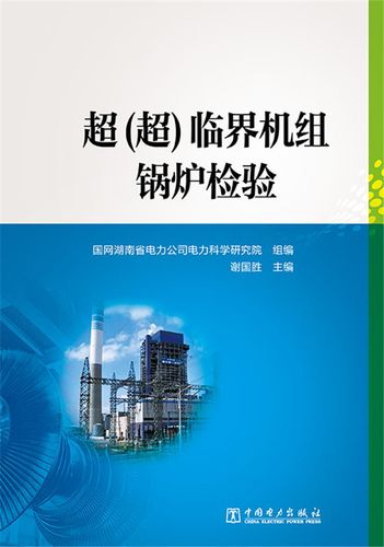 公司电力科学研究院 组编 谢国胜    工业技术 能源与动力工程书籍